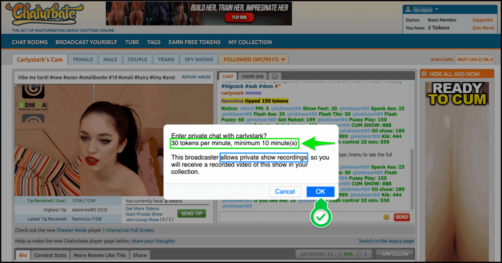 Chaturbate prive show verification popup